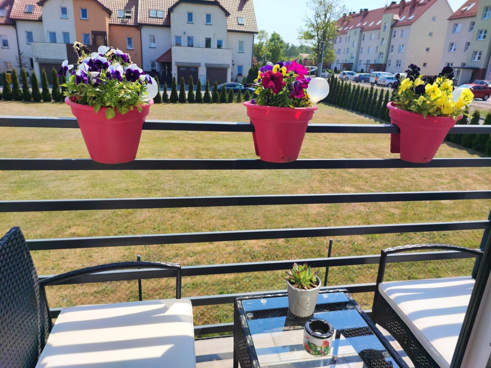 4 Foxes Hotell Ustka Rom bilde